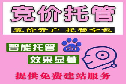 百度推广与SEO结合案例：提升网站排名的技巧